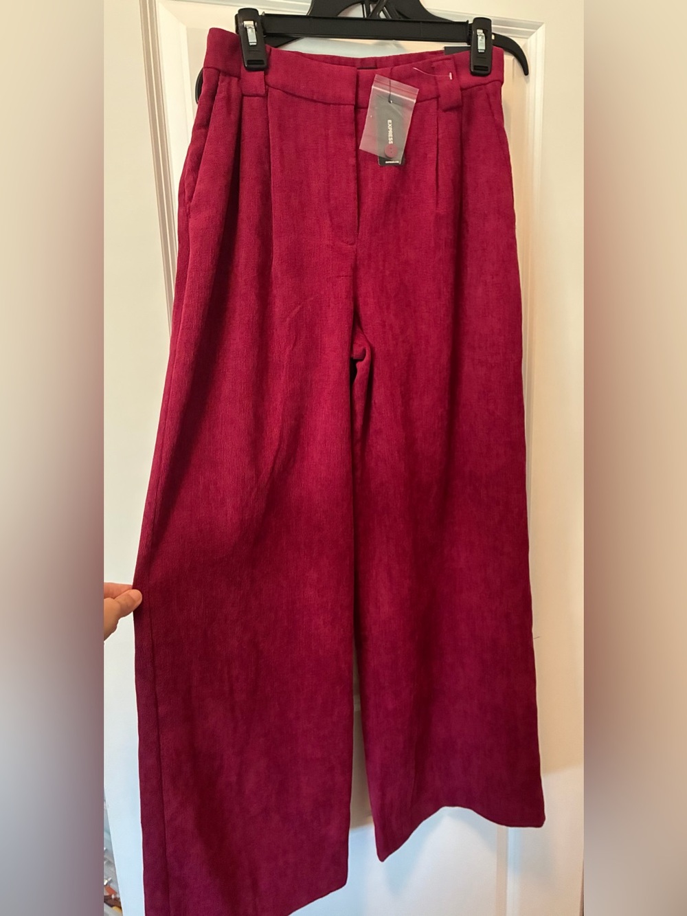 Express Wide-Leg Corduroy Pants in Berry